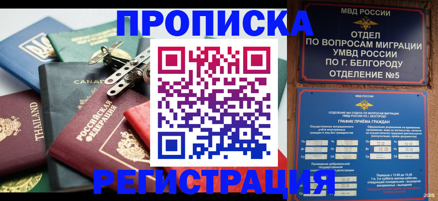 временная регистрация недорого в Покрове